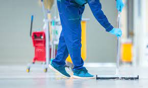 نظافه ومكافحه الحشرات...مستشفيات..شركات..منازل..فيلات ...فنادق ..مصانع 