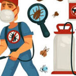 النظافه ومكافحة الحشرات .. فى سيزر خدمات شكل تانى